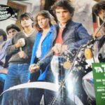 Τα τσακάλια 1981-1982