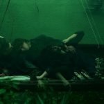 The Corridor: Η νέα παράσταση στο Φεστιβάλ Αθηνών Επιδαύρου 2026